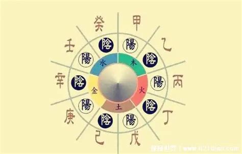 甲乙丙丁戊己庚辛壬癸後面